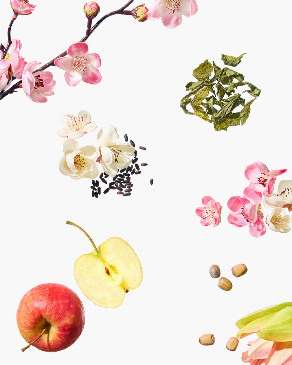 Apricot Blossom Peeling Gel